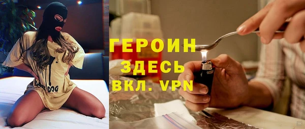 амф Гусев