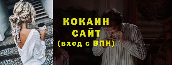 амф Гусев
