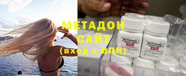 индика Гусь-Хрустальный