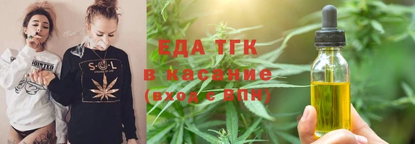 индика Гусь-Хрустальный