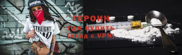индика Гусь-Хрустальный