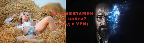 индика Гусь-Хрустальный