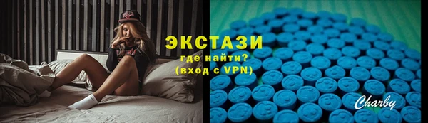 амф Гусев