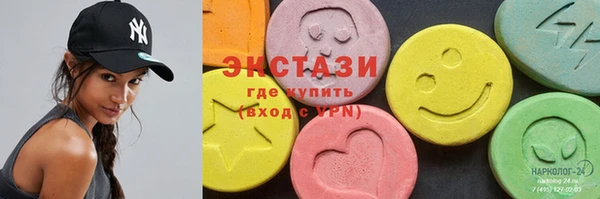 индика Гусь-Хрустальный