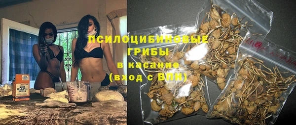 амф Гусев
