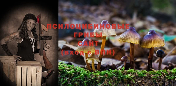 индика Гусь-Хрустальный