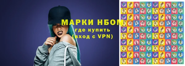 индика Гусь-Хрустальный