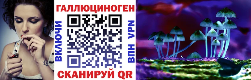 дарк нет Telegram где купить наркоту Константиновск Псилоцибиновые грибы Cubensis